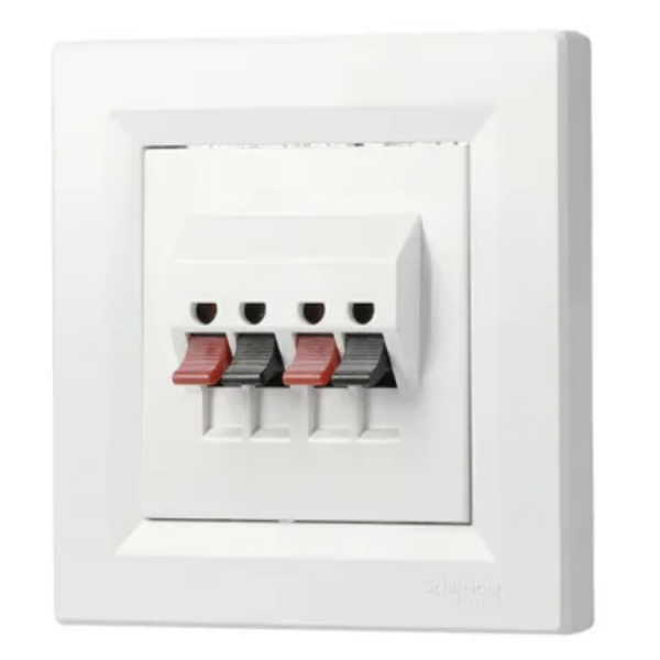 Schneider Asfora - Lautsprecherdose